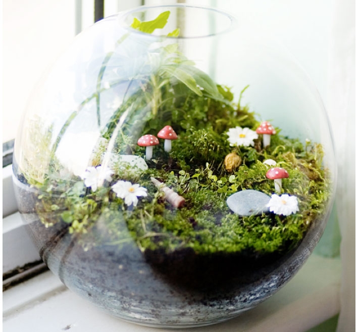 Diy Fairy Garden Terrarium Downtown