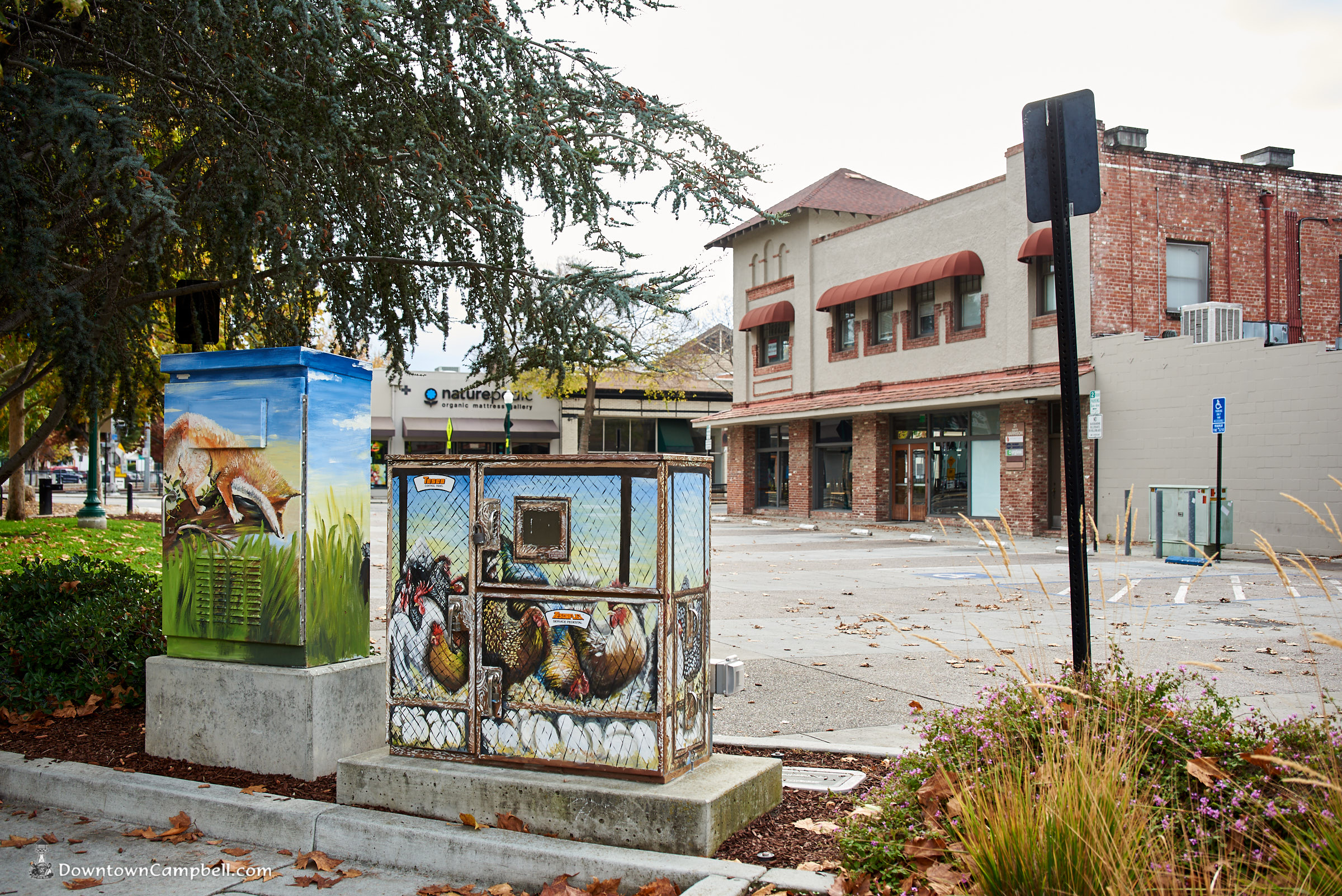 2019 Thanksgiving Thoughts from Downtown Campbell Downtown Campbell